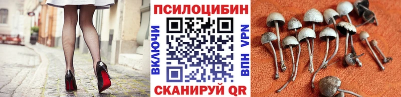 кракен ONION где найти наркотики Светлоград Галлюциногенные грибы Magic Shrooms