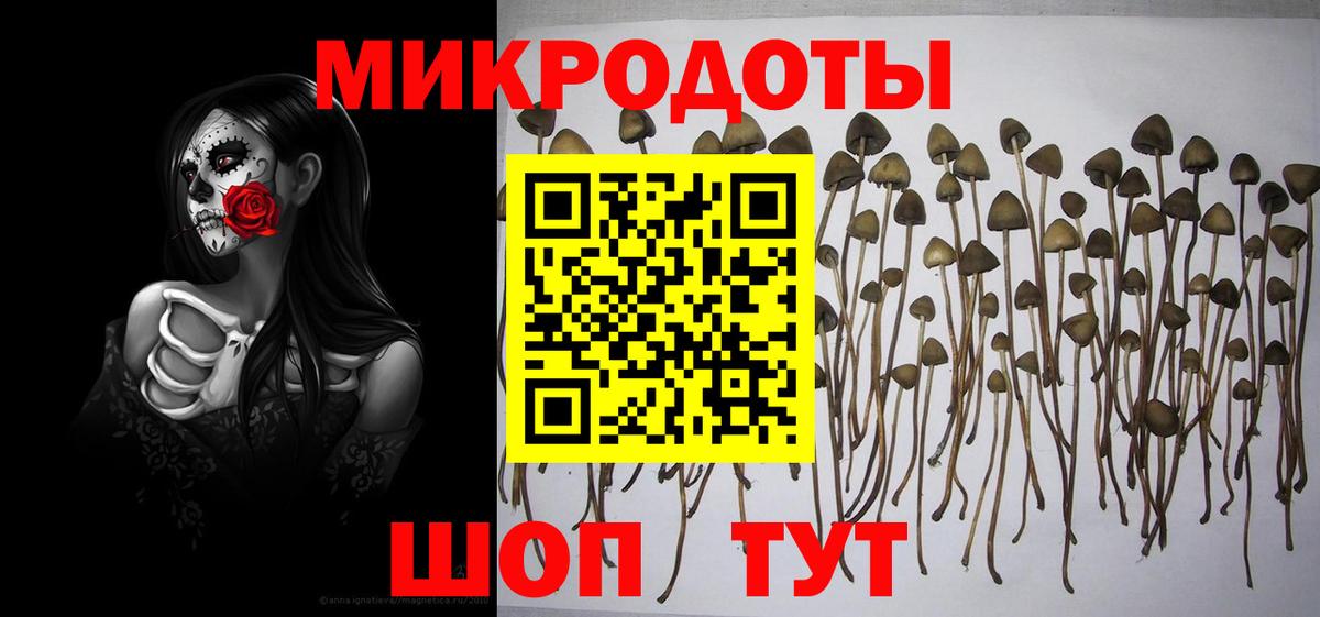 Светлоград  Псилоцибиновые грибы Magic Shrooms  Вход с VPN  Псилоцибиновые грибы ЛСД 