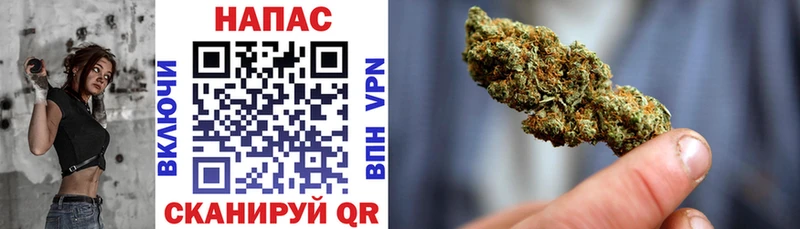 Бошки марихуана THC 21%  Светлоград 